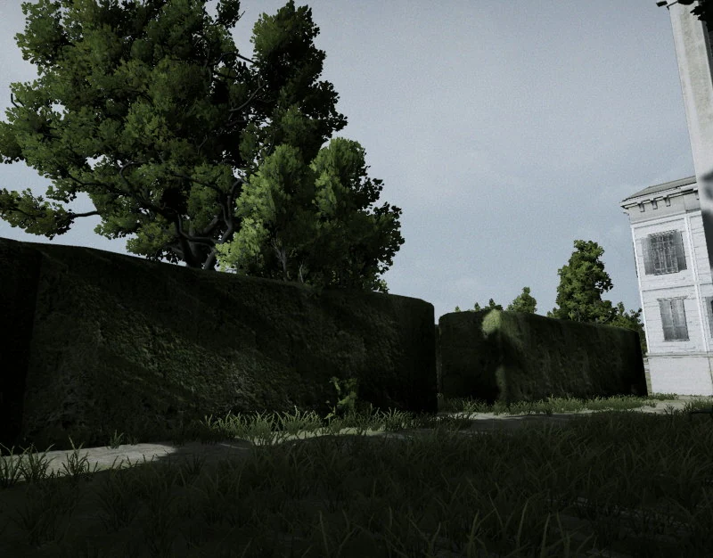 A long moss-covered wall with trees crowding behind it and a white building at the right, grass growing across the path in front